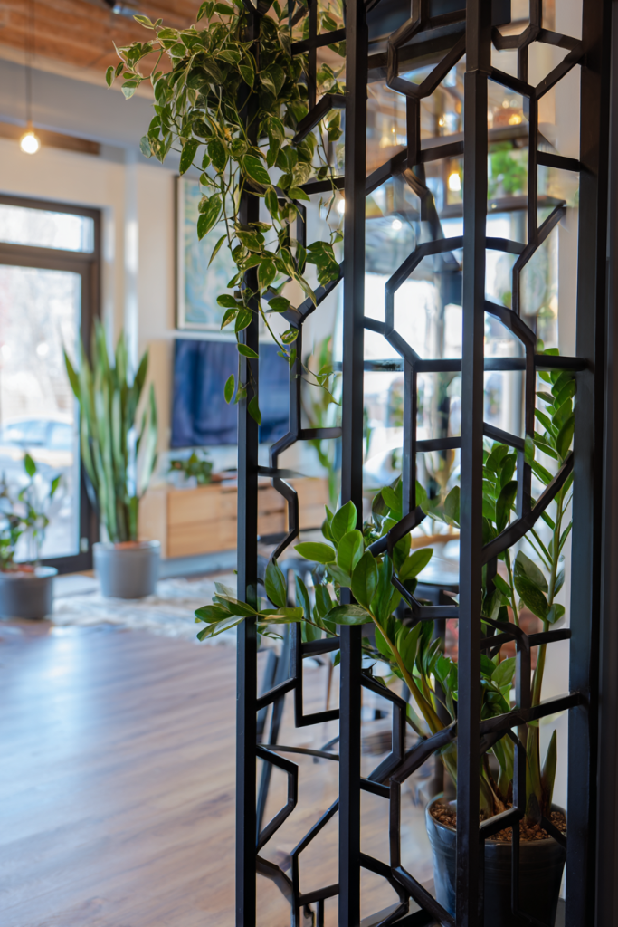 TV decorating ideas