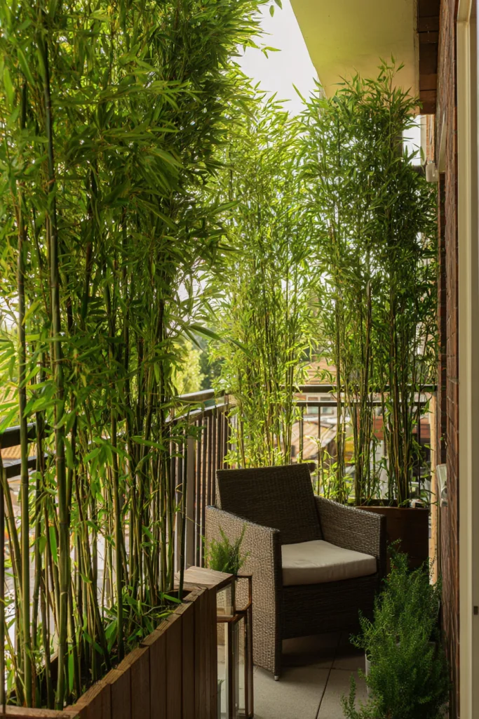 small balcony with tall bamboo planters for privacy screening