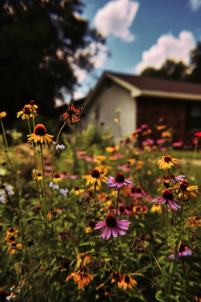 small front yard landscaping ideas