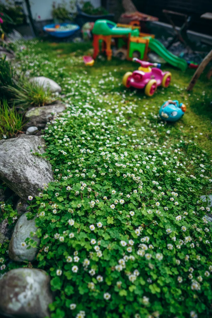 small front yard landscaping ideas