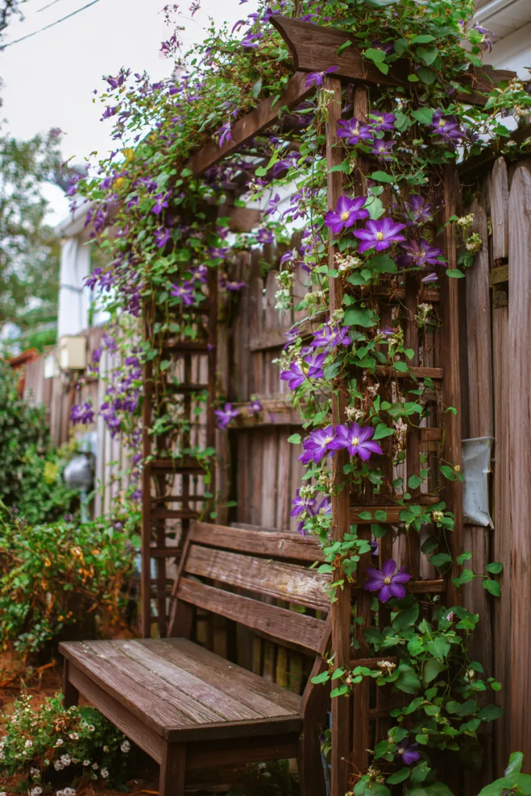 16 Small Front Yard Landscaping Ideas
