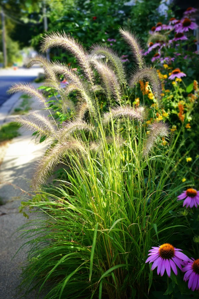 small front yard landscaping ideas